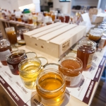 Primorsko-goranska Kašetica