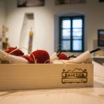 Primorsko-goranska Kašetica