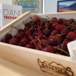 Srdela je IN i Dani trešanja